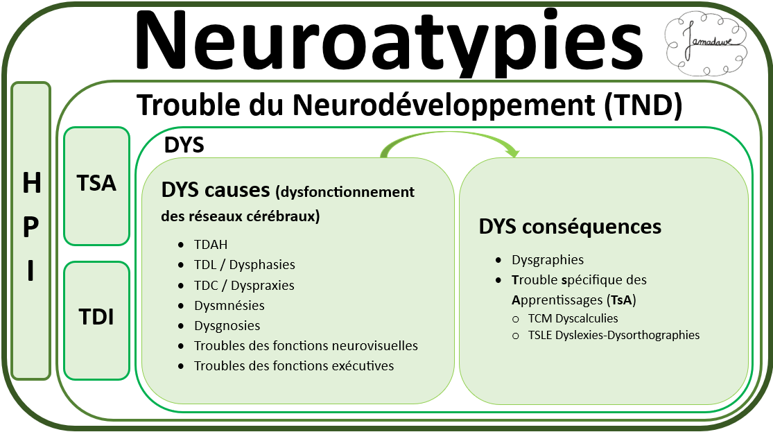 Catégorisation des neuroatypies